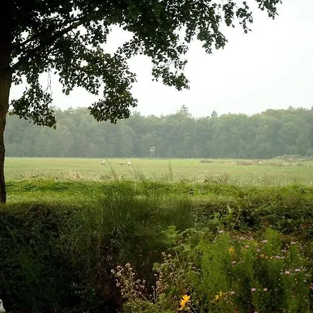 Apartman Gitta Gm 69879 Graal-Müritz