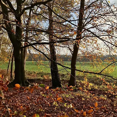 Gitta Gm 69879 * Graal-Müritz