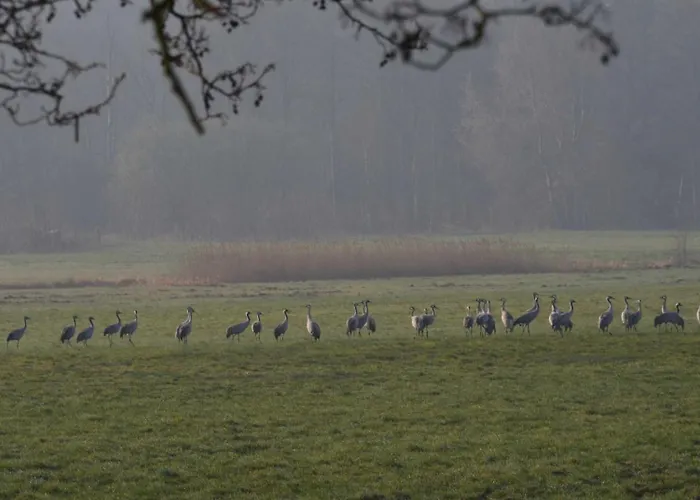 Gitta Gm 69879 * غرال موريتز