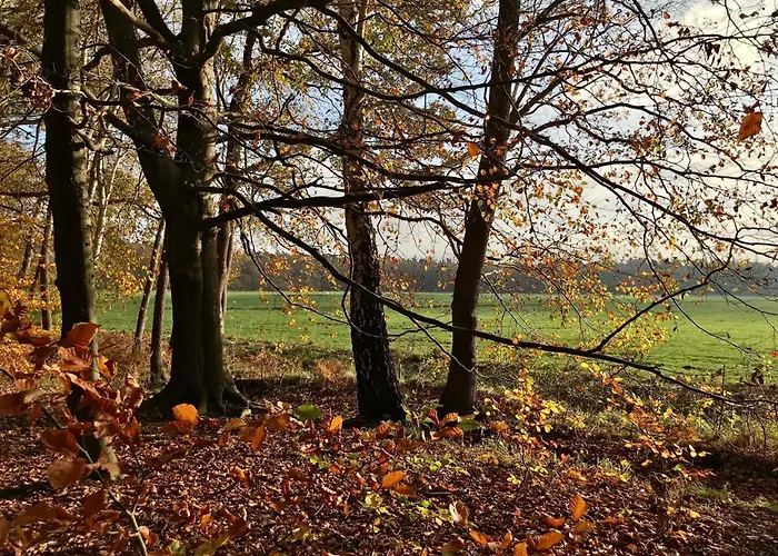 Gitta Gm 69879 * غرال موريتز